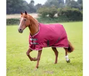 Shires Tempest Original 200 Turnout