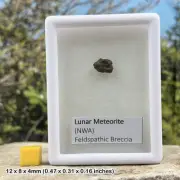 Genuine lunar nwa 8687 meteorite - space moon rock - education, teaching &