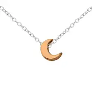 Silver Rose Gold Plated Crescent Necklace