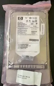 HP 300 GB,Internal,15000 RPM,3.5" (BF3008B26C) Hard Drive
