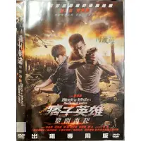 在飛比找蝦皮購物優惠-華語電影-DVD-環保包裝-痞子英雄2：黎明再起-趙又廷 林