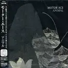 Animal by Motor Ace