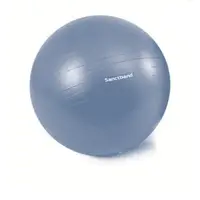 在飛比找運動市集優惠-Sanctband瑜珈抗力球 (75cm)