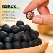 Zhaoan Plum EssenceSmall Black Pills Sweetand Sour Plum CandyPlum Snacks Delight