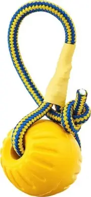 Swing and Fling Fetch Ball, Medium Yellow (Pack of 1) M