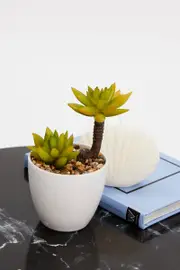 Green Artificial Potted Cactus - Size ONE, Women's Decorations