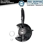 Complete Wheel Hub Bearing & Steering Knuckle Assembly RH for Accord TSX