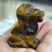 2 " Natural Tiger's Eye Quartz hand-Carved lion skull Crystal healing 1PC