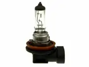 For 2014-2018 Kia Forte Fog Light Bulb Front Wagner 62447YP 2015 2016 2017 (for: Kia)