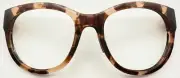 2835 - COSTA DEL MAR MAYA TORTOISE FACE FRONT NEW AUTHENTIC