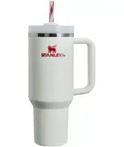 THE QUENCHER H2.0 FLOWSTATE TUMBLER 40 OZ Mistletoe Twist Stanley Cup IN HAND