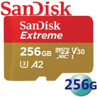 在飛比找松果購物優惠-SanDisk 256GB 256G Extreme mic