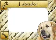 Labrador Picture Frame Fridge Magnet