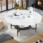 Black Leg Sintered Coffee Table High Density Marble Top and Bottom Storage Shelf