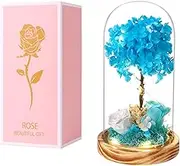 Preserved Flower Glass Dome with LED Light,Wooden Base,6 inches 3D Aqua Hydrangea with White and Blue Roses for Anniversary,Christmas,Birthday Present for Mom Grandma Wife Used as for Occasions