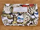 Saponificio Artigianale Fiorentino Vento Di Primavera, 10.5 OZ Bar Soap, NIB