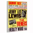 1956 Jerry Lee Lewis Gaumont, UK Movie Poster or Canvas Home Decor Art Print