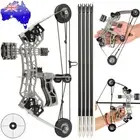 10" Mini Compound Bow Kit Archery Arrows Target Gift Shooting Game Pocket Bow