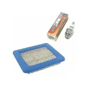 Briggs & Stratton Air Filter Kit + Champion Rj19lm Spark Plug-kryp