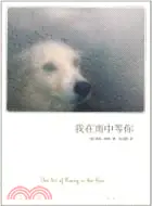 在飛比找三民網路書店優惠-我在雨中等你（簡體書）