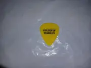 A FLOCK OF SEAGULLS AFOS New Wave RaRe 2022 Concert Tour Stage GUITAR PICK #2