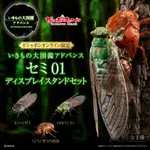 【BANDAI】預購24年9月 代理版 生物大圖鑑 蟬01 附展示支架 盒玩 中盒3入