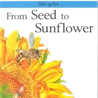 在飛比找三民網路書店優惠-From Seed to Sunflower