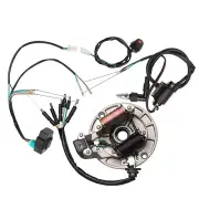 Wiring Harness Magneto CRF50 XR70 DHZ 125cc 140cc 110cc Dirt Bike Atomik