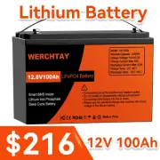 24V 100Ah Lithium Iron Battery 12V 200Ah LiFePO4 Replace AGM Solar Marine BMS RV