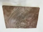 Carpathian Elm Burl Raw Wood Veneer Sheets 9.5 x 6.75 inches Lot #643