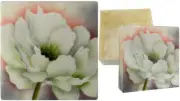 Capiz Shell Trinket Box, 4", Peony
