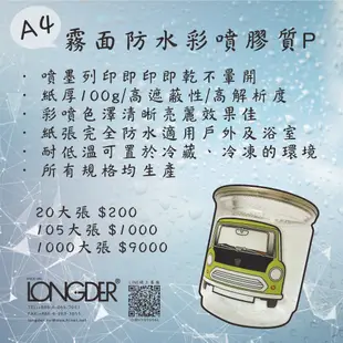 LD-4357【龍德電腦標籤A4霧面防水彩噴膠質P 12格LD-810-P】LONGDER 噴墨 20/105張