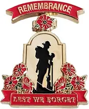 1/2 pc Lest We Forget Poppy Badges Pins Brooch 2023 Remembrance Day Decorations Veterans Memorial WW1 Military Badge
