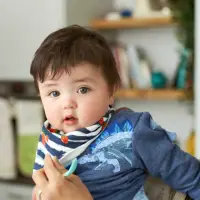在飛比找momo購物網優惠-【英國BiBADO】嬰兒 雙層竹纖維口水巾 圍兜(雙層設計 