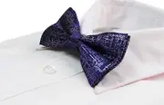 Mens Dark Purple Sparkly Glitter Patterned Bow Tie
