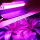 全光譜COBLED植物生長燈大棚花卉蔬菜多肉植物補光燈熱賣