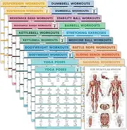 Palace Learning 20 Pack - Exercise Poster Set: Dumbbell, Suspension, Battle Rope, Stretching, Bodyweight, Barbell, Yoga, Exercise Ball - (LAMINATED, 18” x 24”)