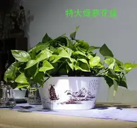 在飛比找樂天市場購物網優惠-超大綠蘿花盆 懶人自吸水式圓形塑料花盆吊蘭水培盆綠蘿盆360