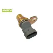 RAE Camshaft Position Sensor - SC519