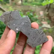 112.9g Altay Iron Meteorite Space Meteorite Slice