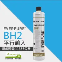 在飛比找PChome24h購物優惠-EVERPURE BH2活性碳濾芯/BH-2平行輸入濾芯★請