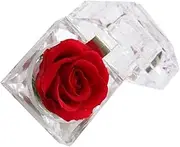 Homoyoyo Eternal Preserved Rose for Girlfriend - Never Withered Flower for Valentine's Day - Weddings Anniversaries & Home Decor Loved Ones