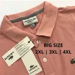 男士高級大領襯衫 POLO 大碼 XXL XXXL 短袖領襯衫可選顏色