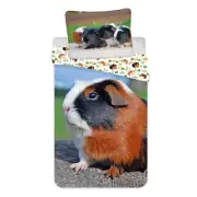 Guinea Pig Single Duvet Cover Set 100% Cotton Kids Reversible Bedding EU Size