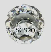 Swarovski Crystal 2006 SCS 20 "100 club sp. edition paperweight" REAR BRAND NEW