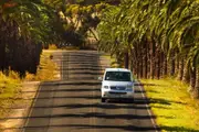 Exclusive Full Day Clare Valley Tour - Adelaide