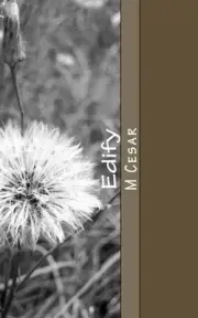 Edify: Dreams Prophecies & Visions by M. Cesar (English) Paperback Book