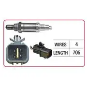 RAE Oxygen Sensor - OX582