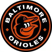 Baltimore Orioles Iron On Transfer For T-Shirt + Other Light & Dark Fabrics #5