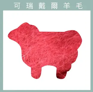 紐西蘭ASHFORD-可瑞戴爾羊毛[30克]-C49草莓紅